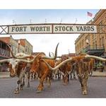 Fort Worth Stockyards Station