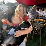 The Velvet Ditch - Sports bar & Seafood