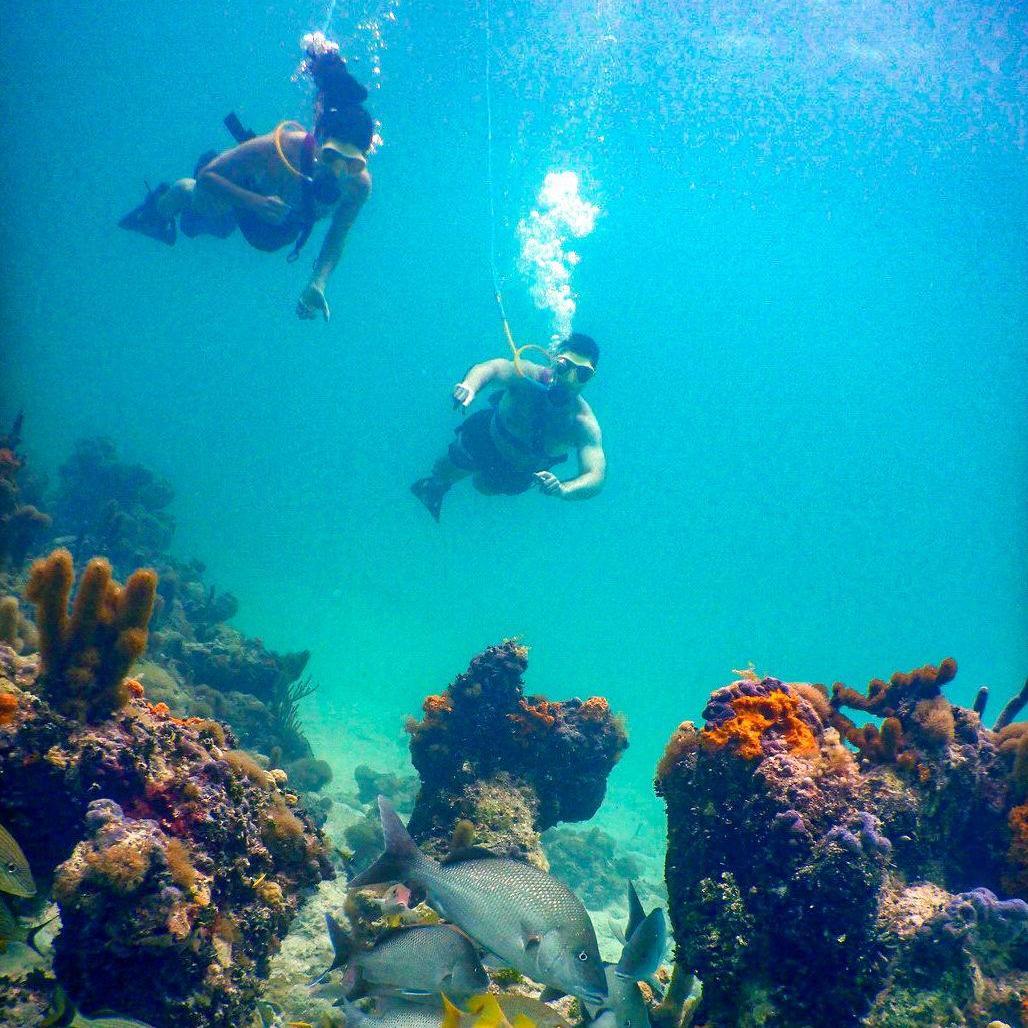 "Snuba" diving in Turks & Caicos