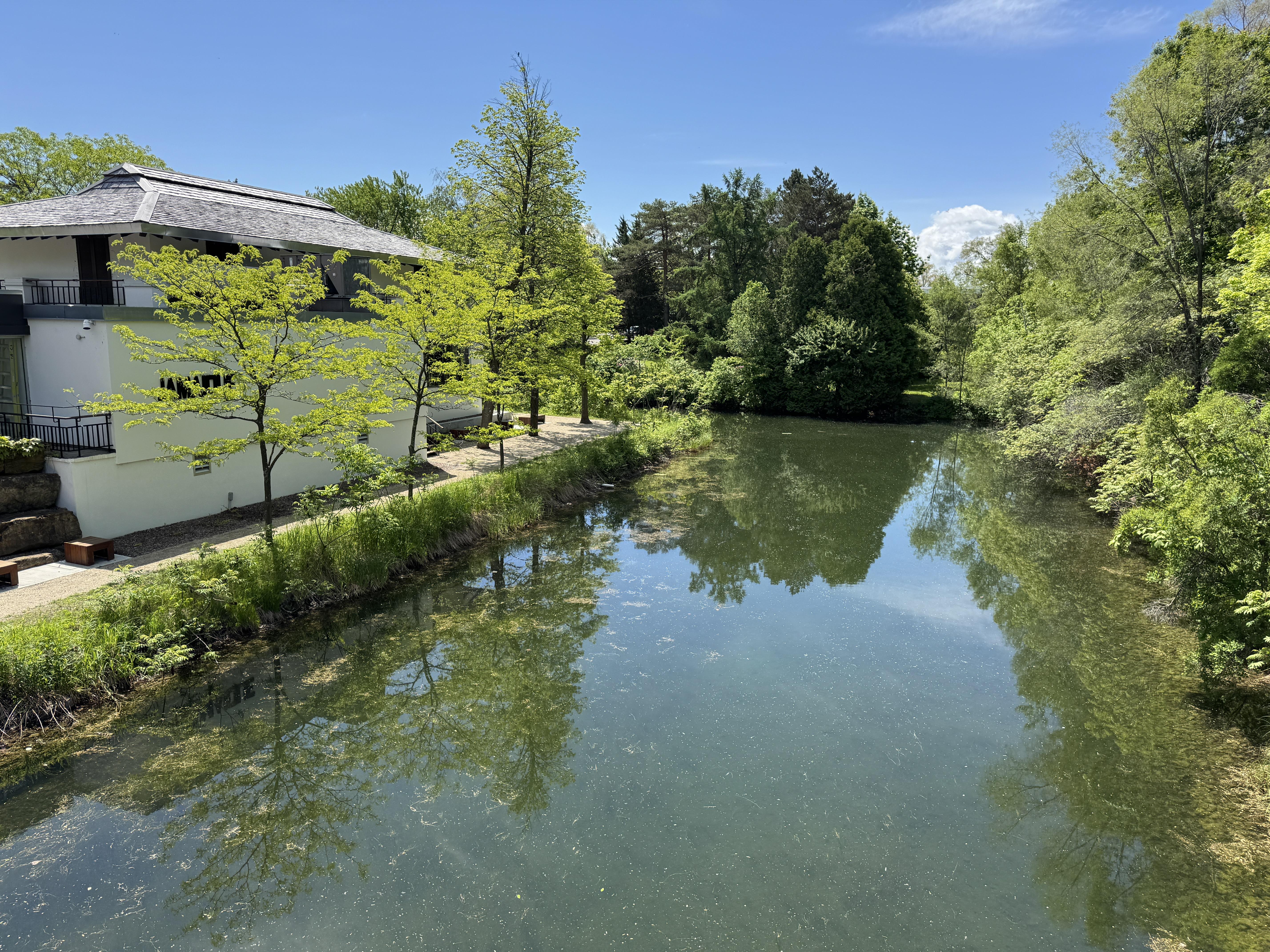 The Wedding Website of Danica Gonzalves and Job Mondesir