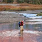 Fly Fishing