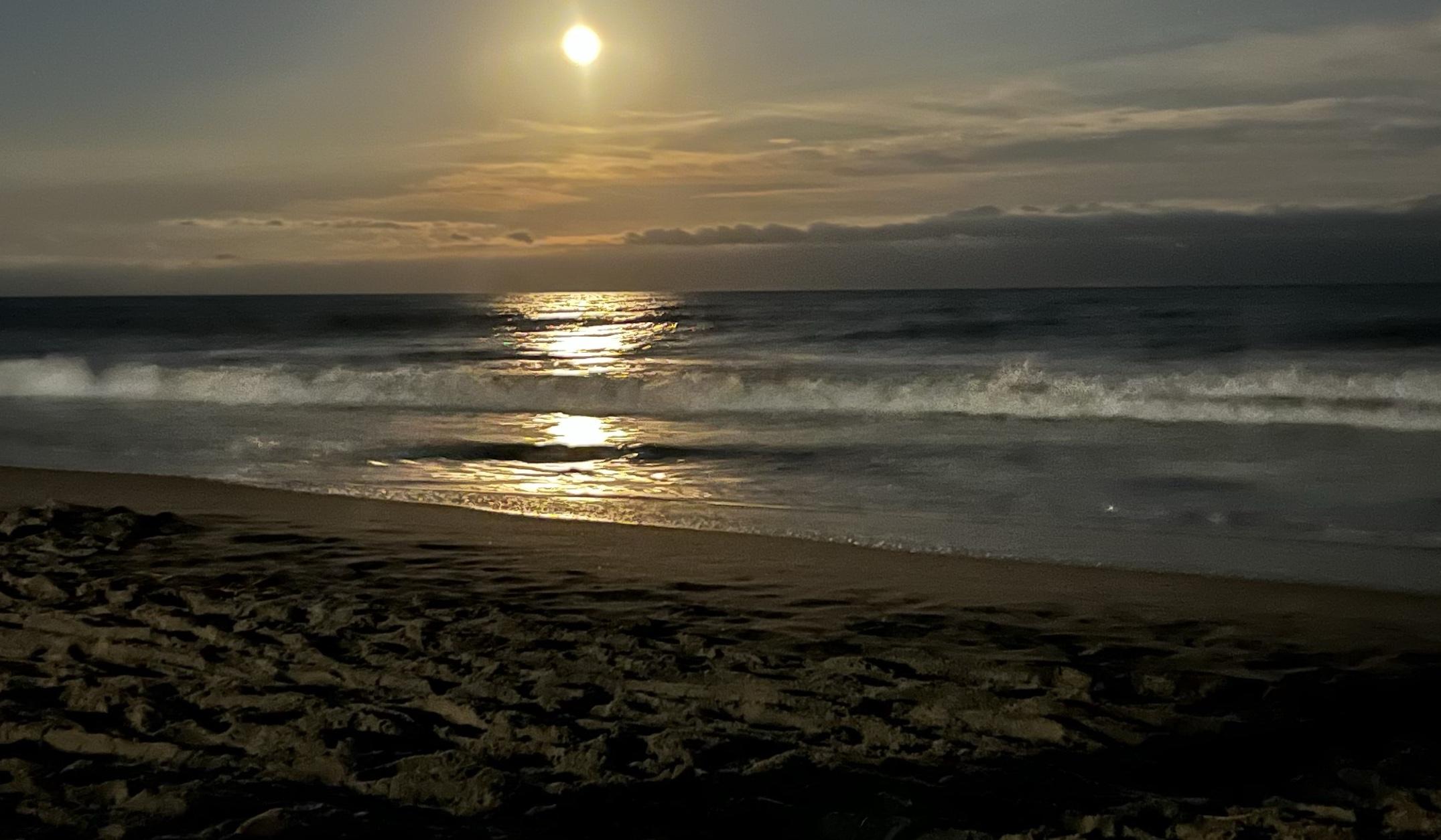 5b2797e6-0137-43bf-ac21-3519d1f22ffe