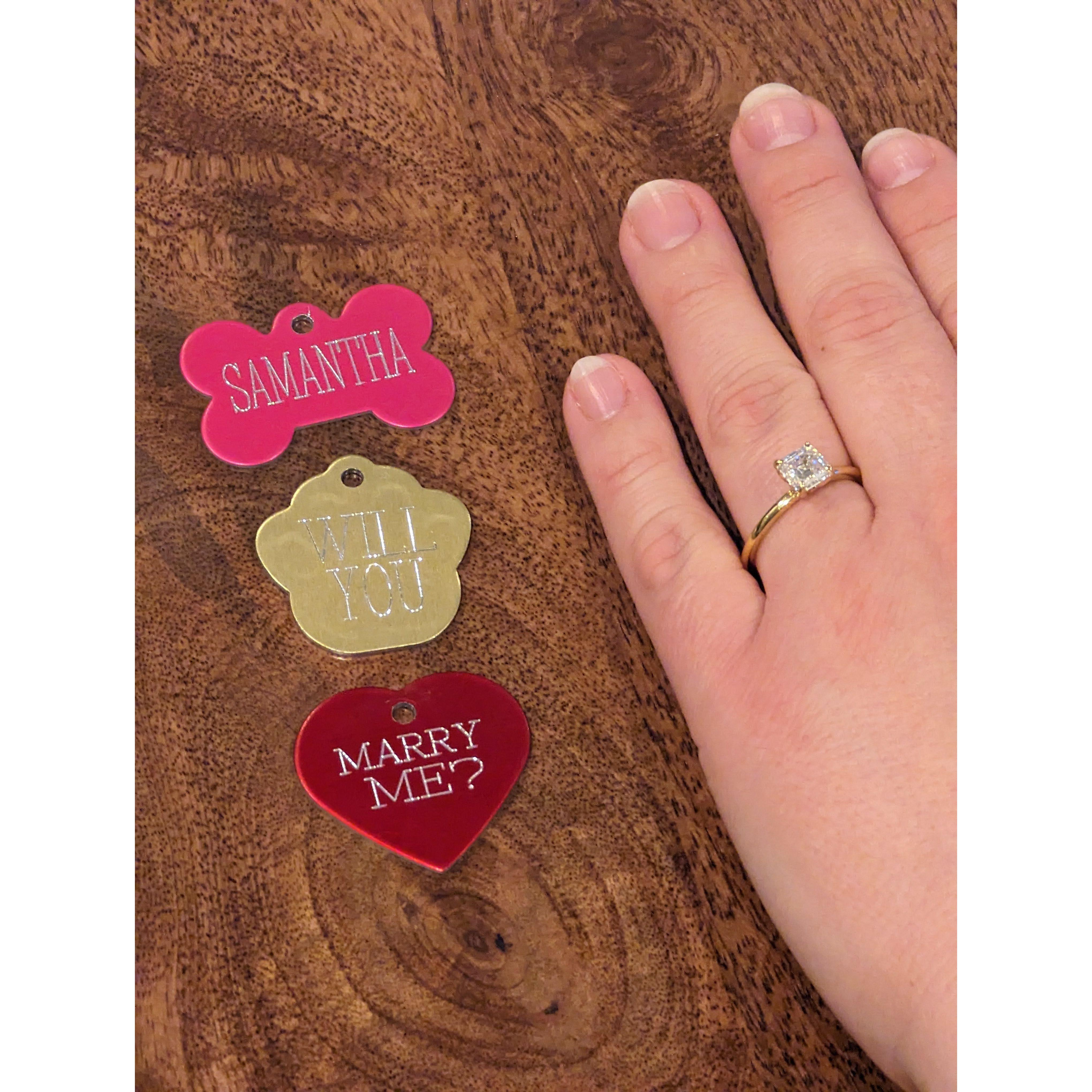 The jingle of a dogs collar means I love you.