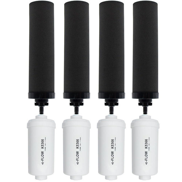 Larayci (4) Black Carbon Filter & (4) Fluoride Filters, Combo Pack
