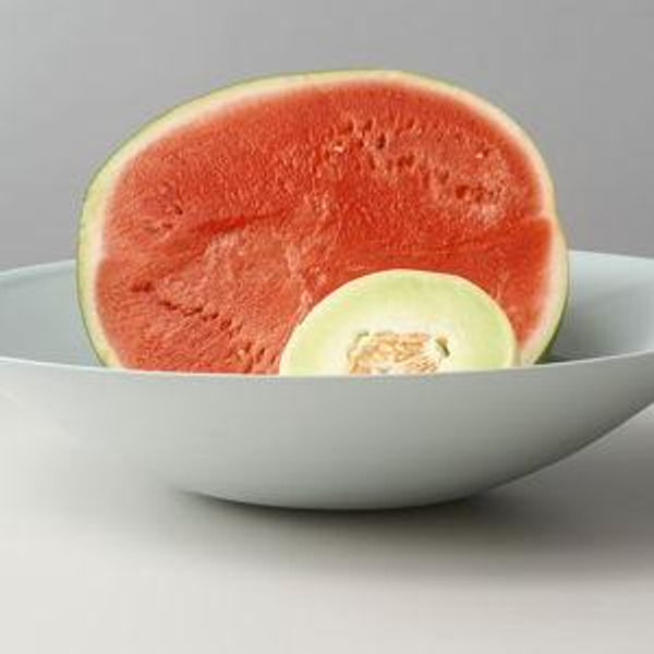 Mud Australia: Nest Bowl Extra Large (Mist)