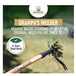 Grampa's Weeder - The Original Stand Up Weed Puller Tool with Long Handle - Made with Real Bamboo & 4-Claw Steel Head Design - Easily Remove Weeds Without Bending, Pulling, or Kneeling.