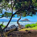 Koki Beach Park