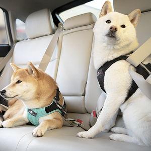 Sleepypod Dog Car Seat Harness