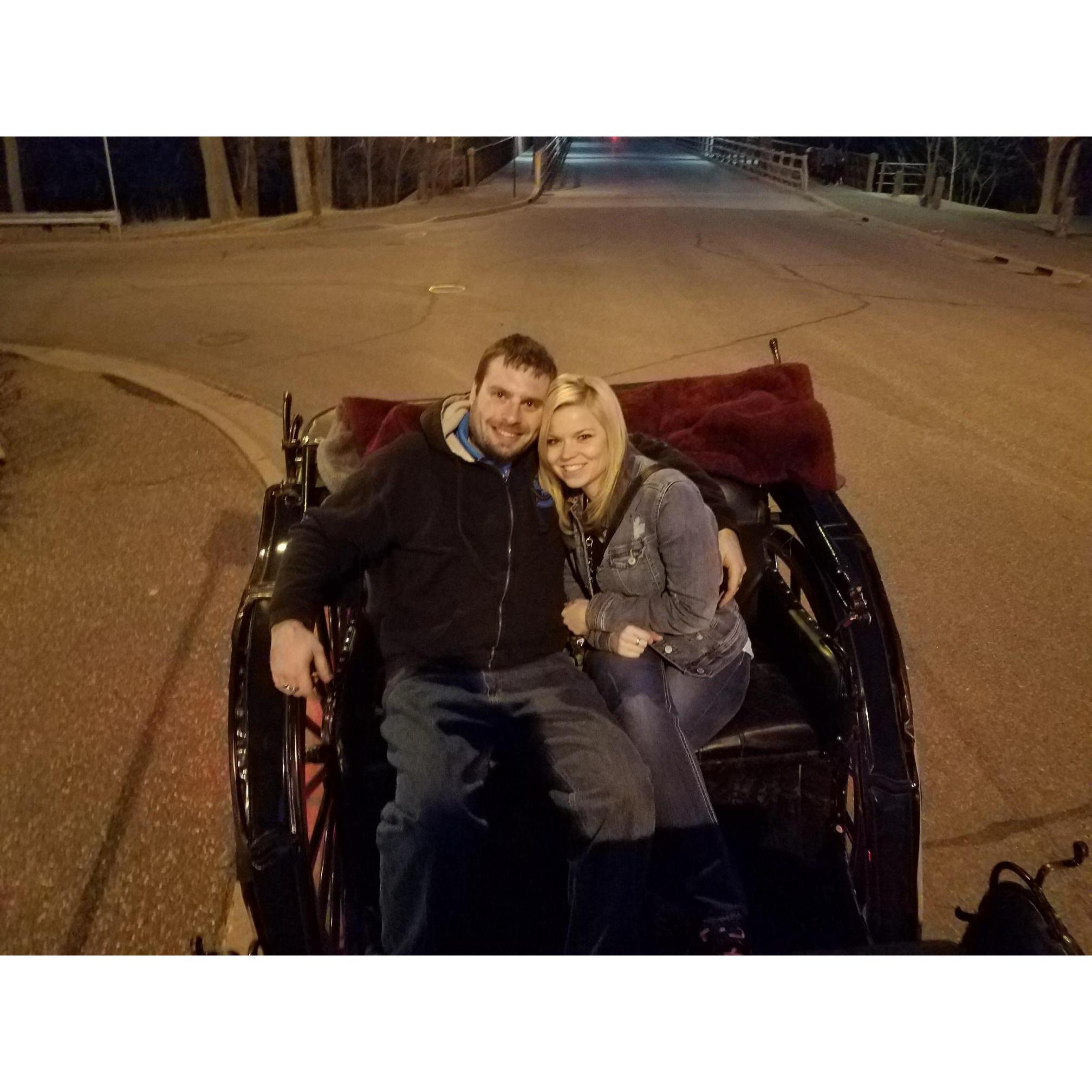 Horse carriage ride 2017