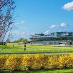 Watch a Race at Keeneland