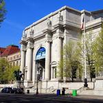 American Museum of Natural History