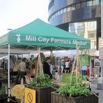 Mill City Farmers Market
