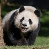 Smithsonian National Zoological Park