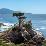 17-Mile Drive