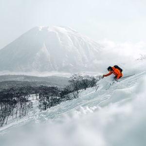 Japan Winter Honeymoon (Venmo)
