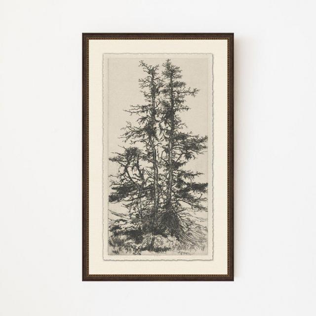 Tree Tops 3
