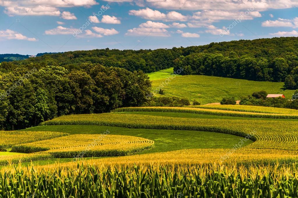 The Wedding Website of Danielle Guiteras and Peter Hildebrandt