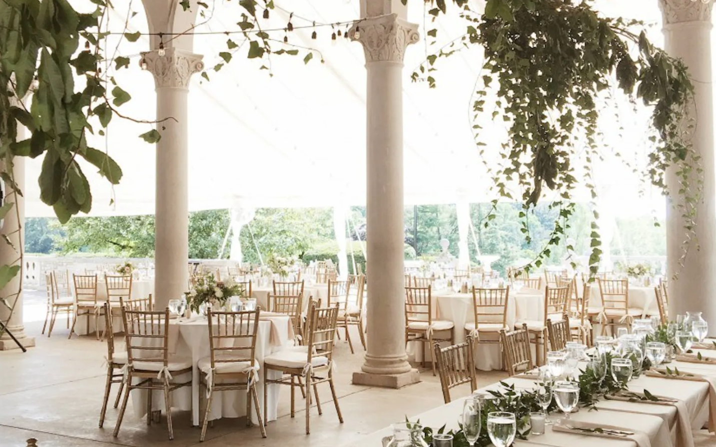 The Wedding Website of Alexandra Wilt and Daniel DiDonato