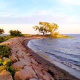 Savin Rock Park