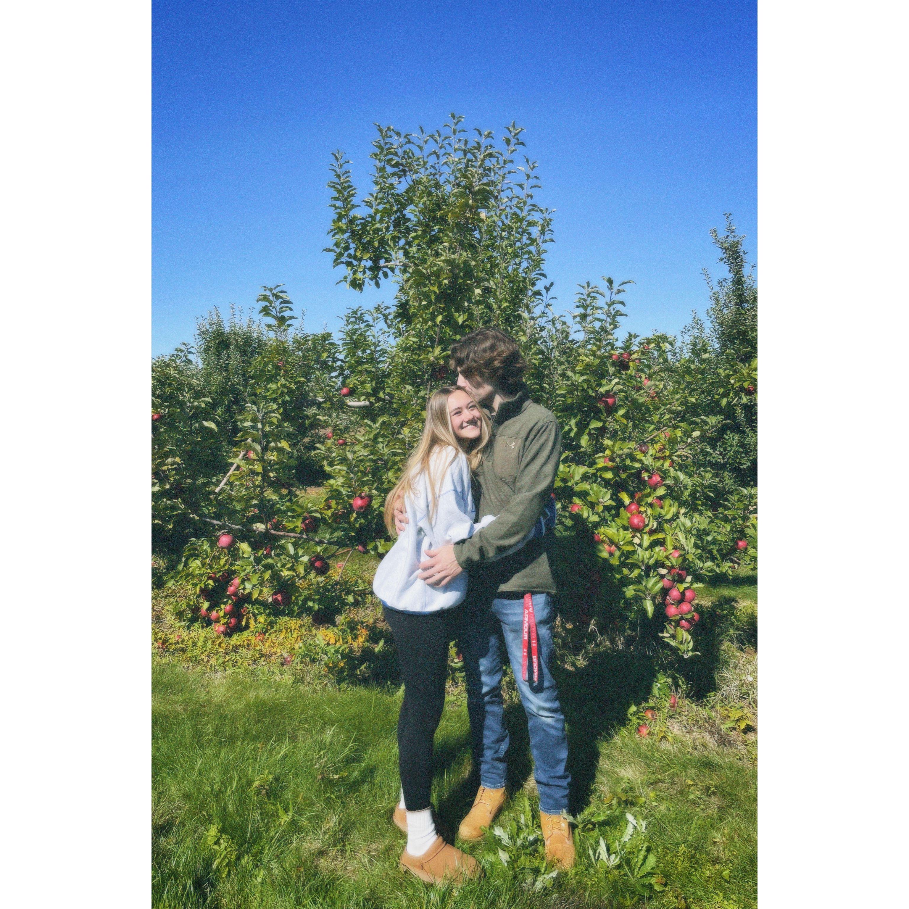 Apple Picking
