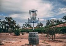 Castoro Cellars Disc Golf