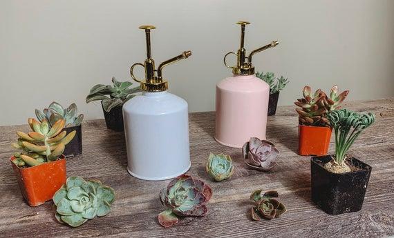 House plants and succulent watering canister, plant mister