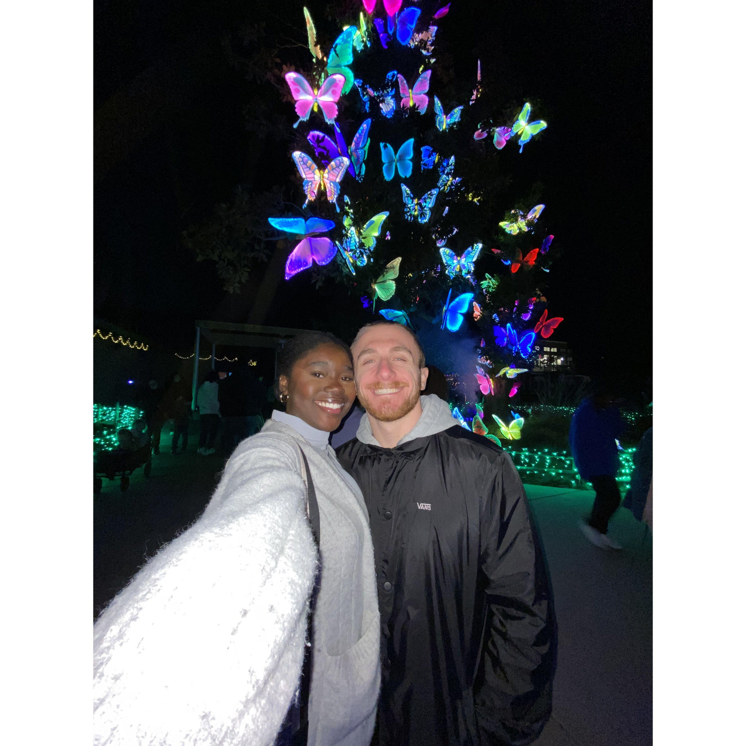 Fresno City Zoo Lights 2023