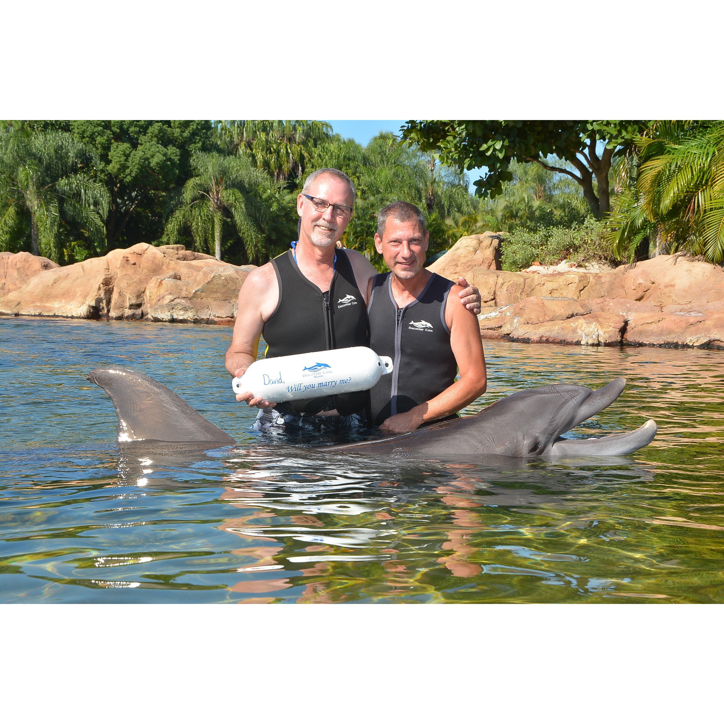 Joe surprised David on September 27, 2016 at Discovery Cove