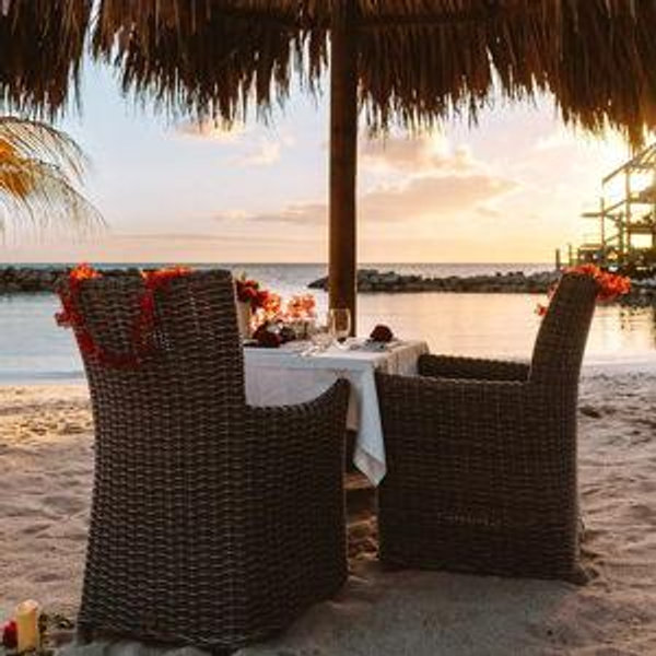 Honeymoon Meals & Drinks