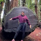 Redwood National and State Parks