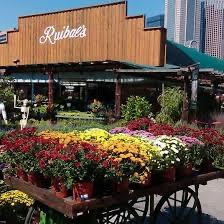 Ruibal’s