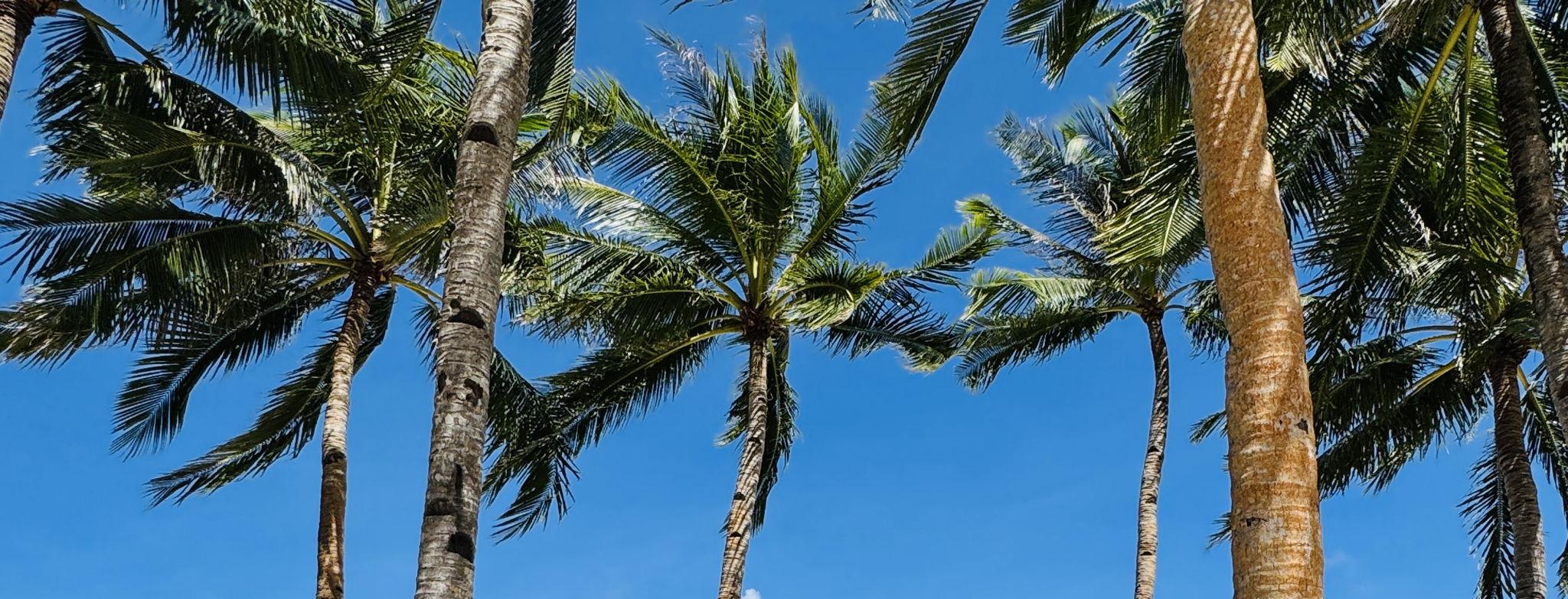 The Wedding Website of Vien Karmina and Sergio Jaime