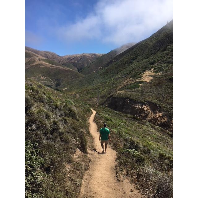 Taryn made David stop on the side of the road to hike up a trail in Big Sur.  David would recommend to any of our out of town guests to use designated parking areas to pull over on Route 1 in CA