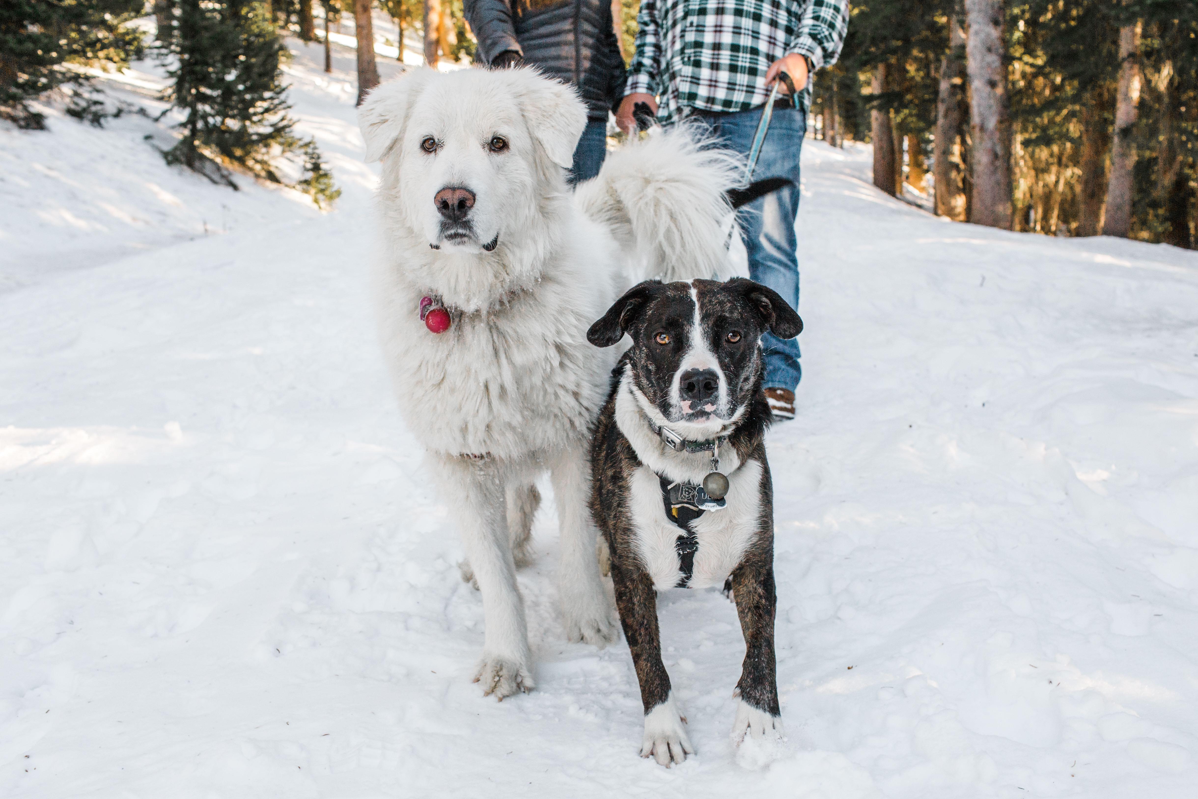 The Wedding Website of Missy Granish and Dan Sprague