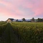 Newport Vineyards & Restaurant
