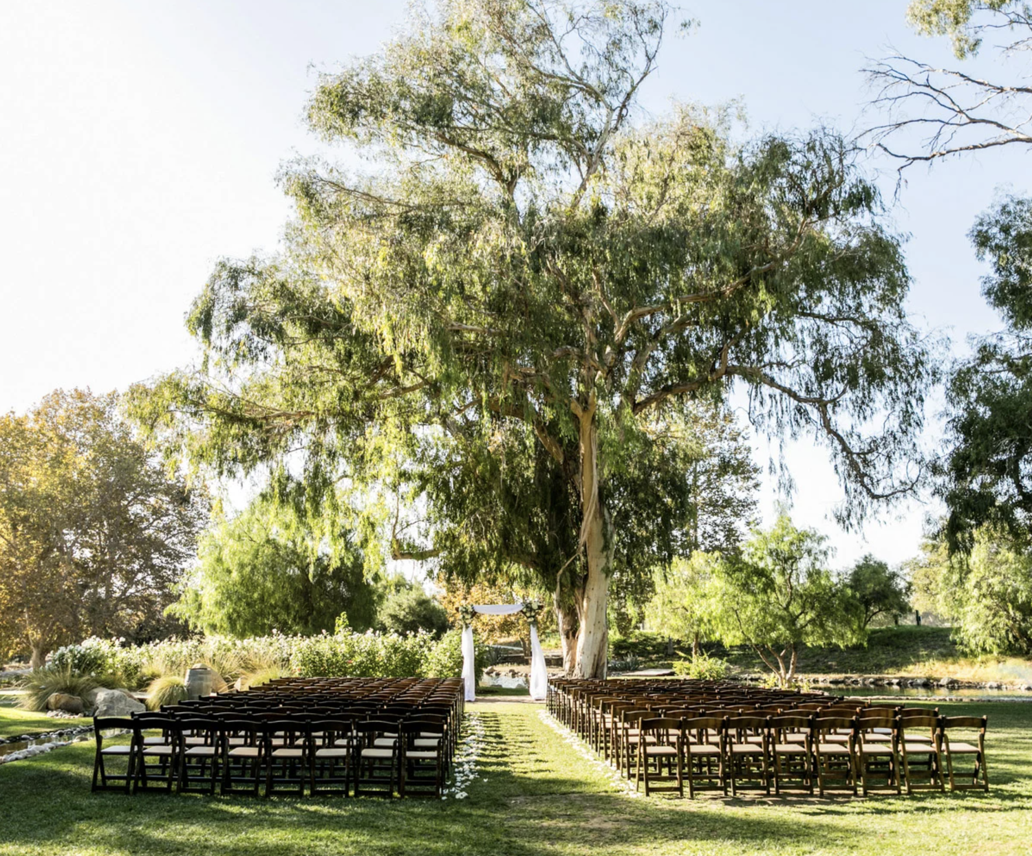 The Wedding Website of Melanie Wells and Vincent Giacalone