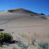Jockey's Ridge State Park
