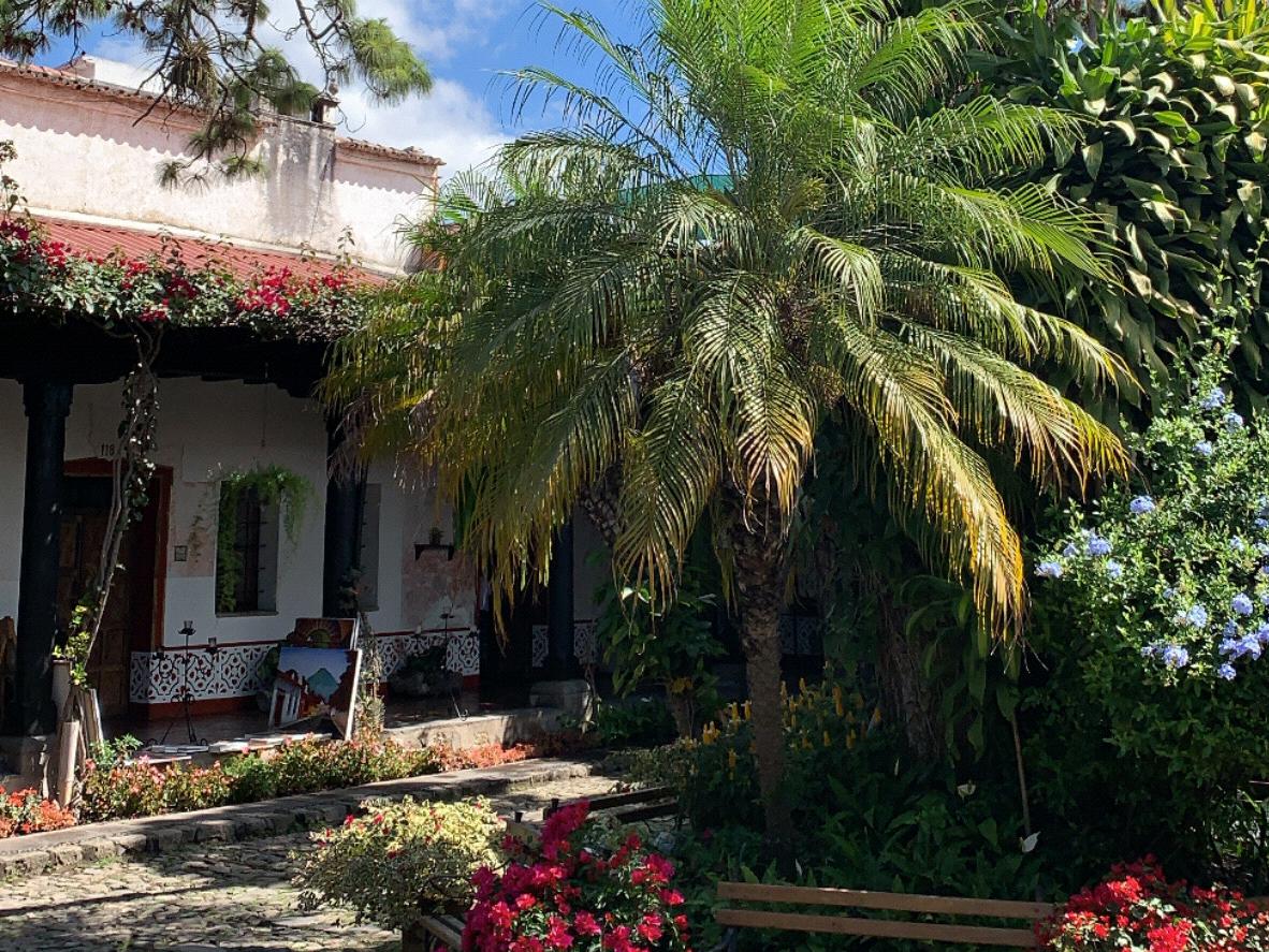 The Wedding Website of Teresa Bonilla and Mario A. Garcia