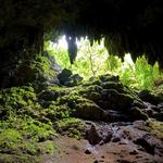 Parque de las Cavernas del Río Camuy