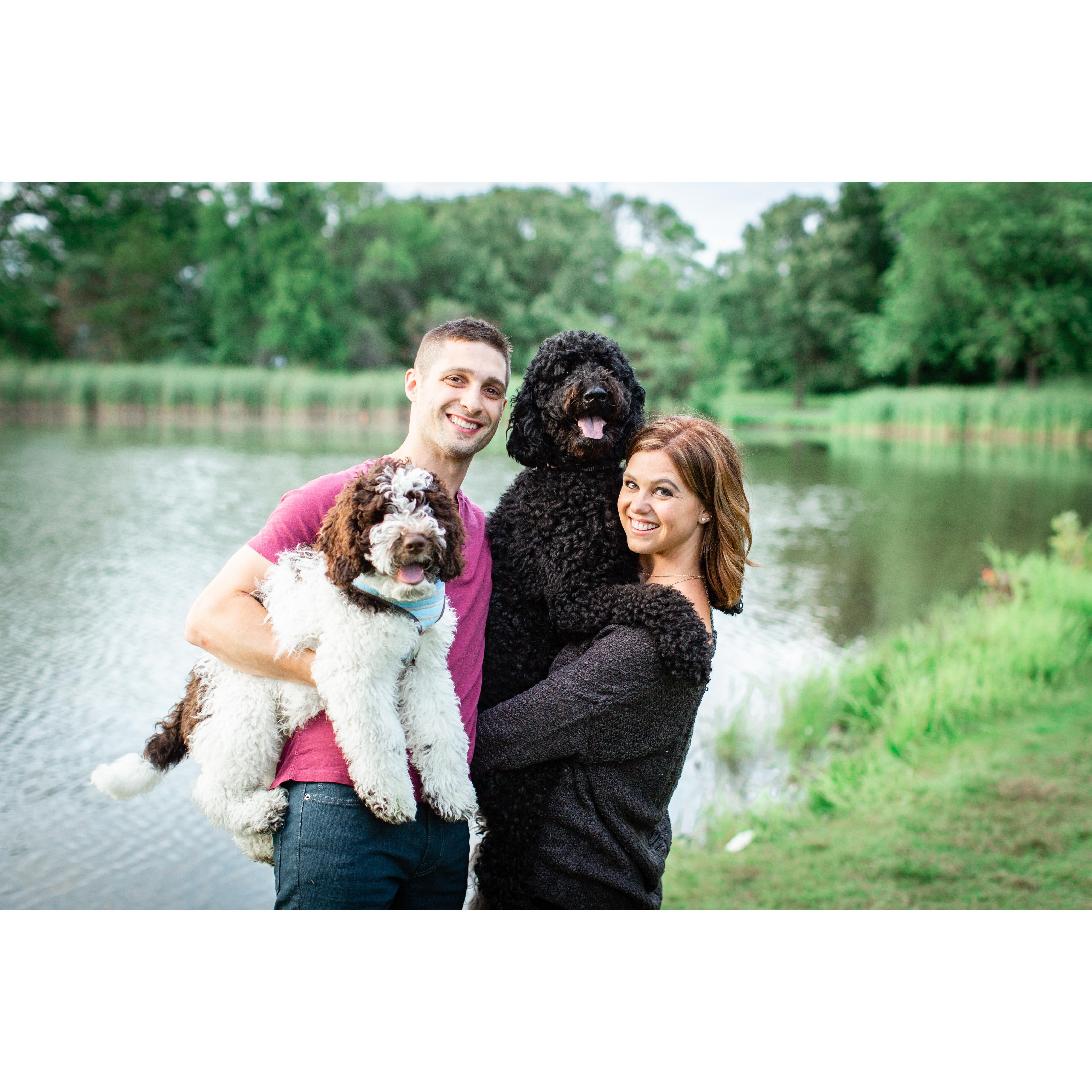 Jesse, Abbey, Millie, and Moose