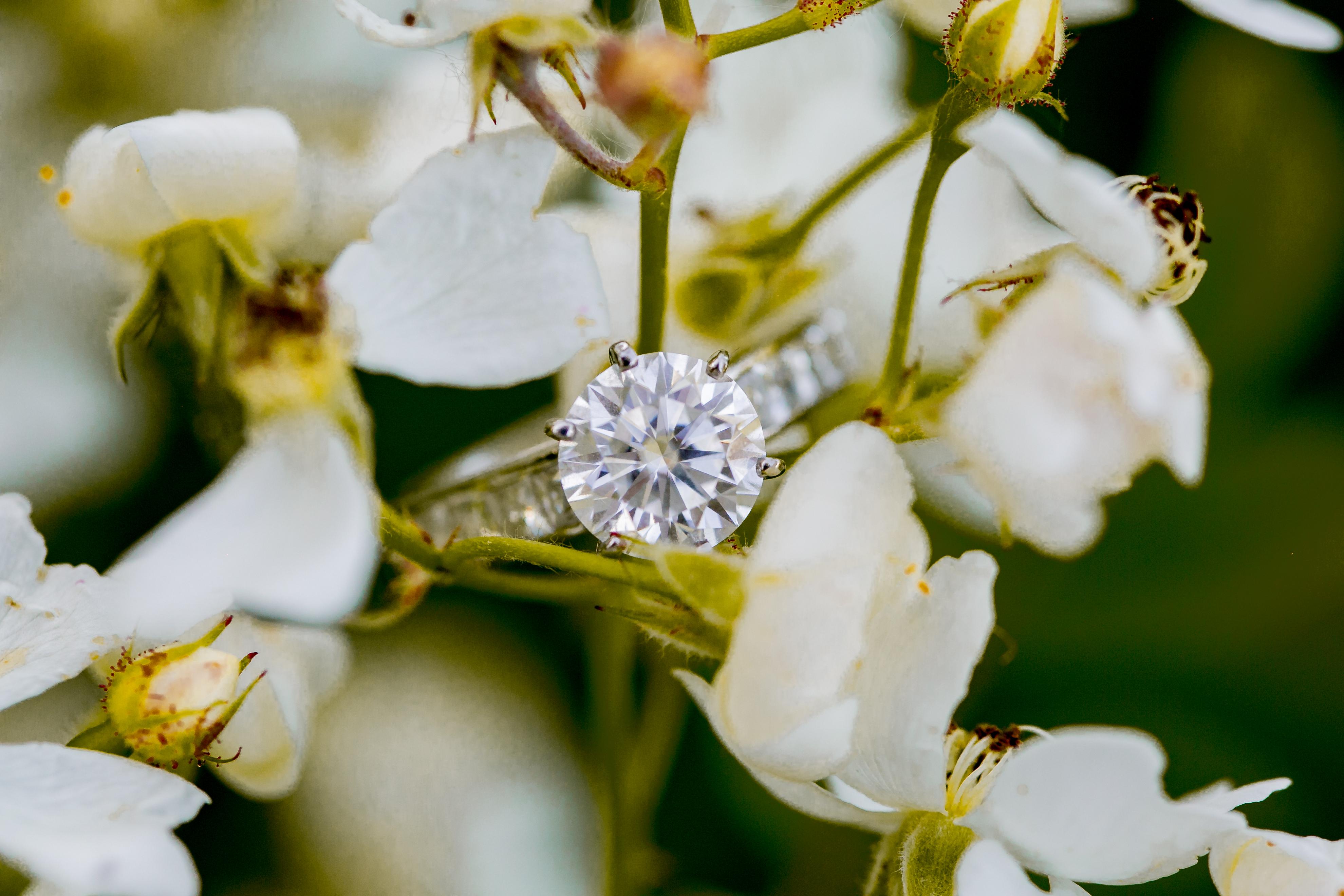The Wedding Website of Jessica Kennedy and Michael Tortorella