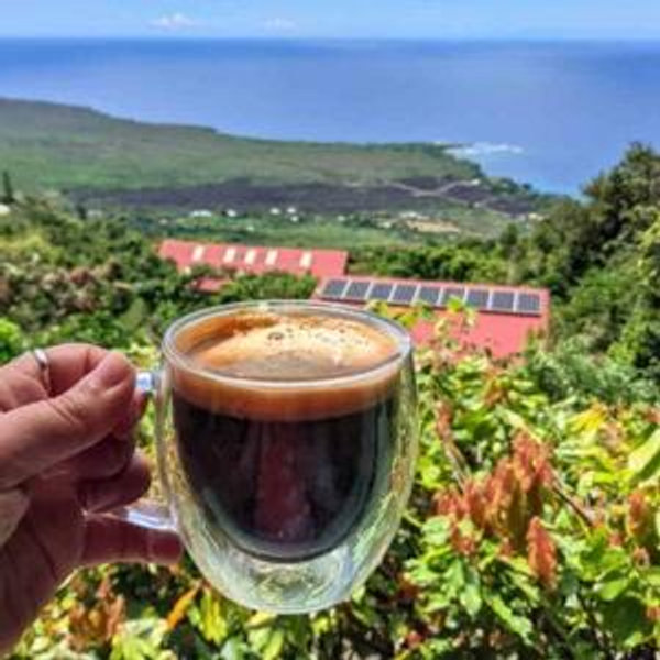 Kona coffee tour & entry to state parks