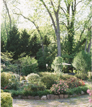 The Wedding Website of Lydia Whitted and Elijah Powell