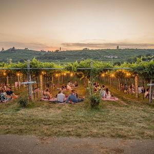 Wine Tasting at La Dama Vini