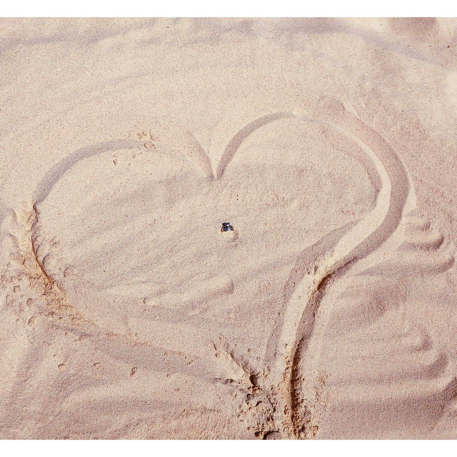Pink Sand in Bermuda