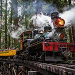 Roaring Camp