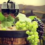 New Kent Winery
