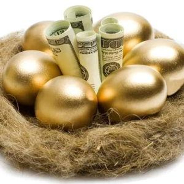 Our Nest Egg!