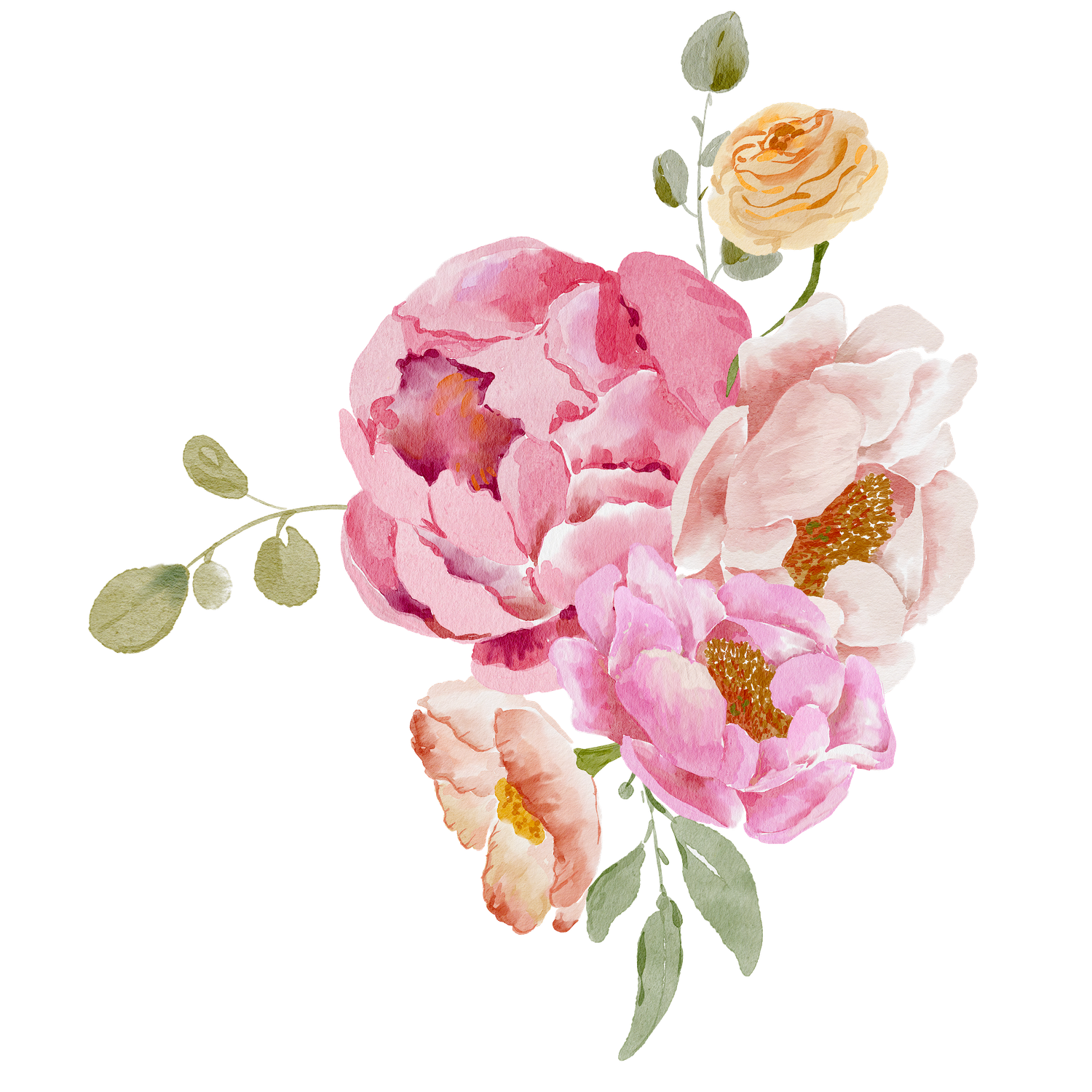 The Wedding Website of Sophia Motta and Tyler Tilghman