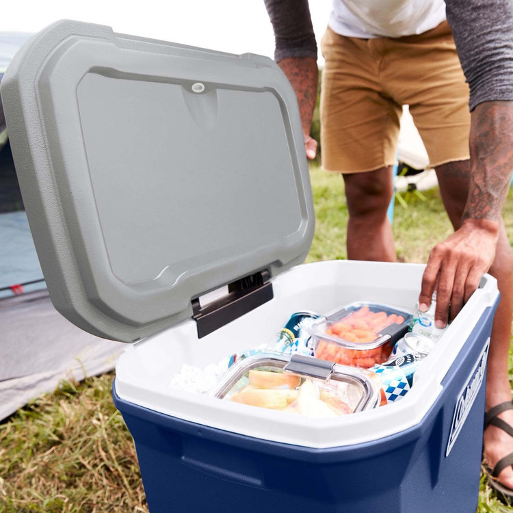 Coleman, 316 Series 65-Quart Wheeled Cooler | Zola